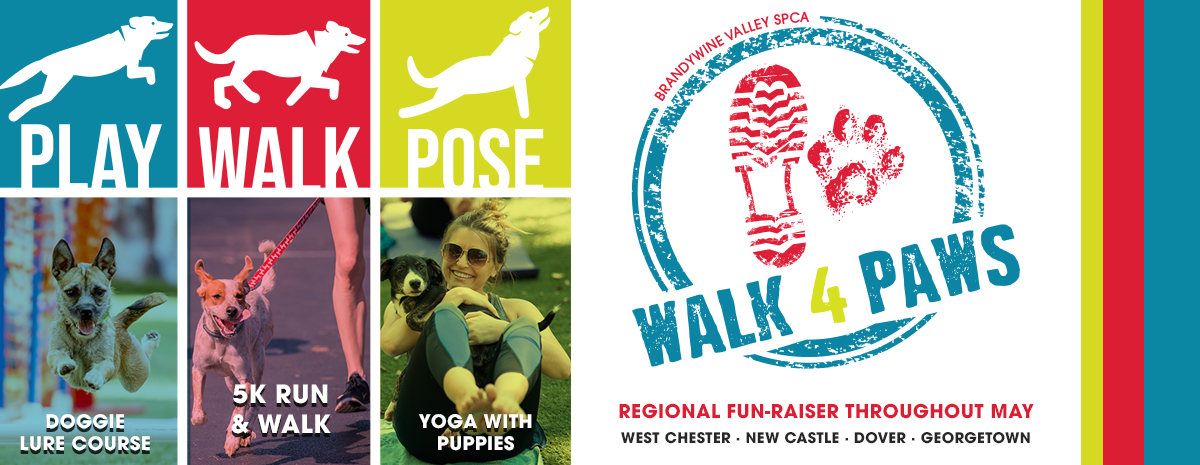 Walk for Paws 2021 - Doggie Lure Course